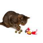 Brinquedo Animaux Tucano com Som e Bolinhas de Catnip para Gatos 6