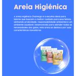 Areia Higi nica Chamego Gr os M dios para Gatos 4kg 2