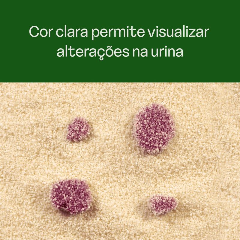 Areia Higi nica Viva Verde para Gatos Gr os Mistos 4kg 3