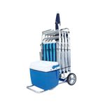 Carrinho De Praia Mor com Avan o para Caixa T rmica Alum nio 5