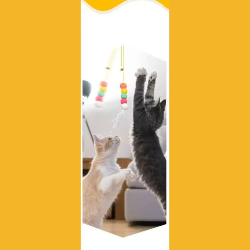 Brinquedo Napi El stico com Bolinha para Gatos - Cores Sortidas  2