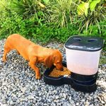 comedouro-automatico-murano-para-caes-8l-cores-sortidas-7 jpg