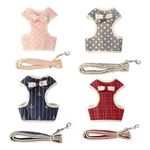 conjunto-murano-peitoral-luxo-com-guia-estampado-m-para-caes-porte-medio-cores-sortidas-2 jpg