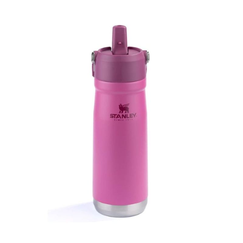 Garrafa T rmica Stanley Flip Straw Azaleia 651ml 0