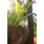 Cabo de A o Nutriplan 3 Ganchos Dourado 75cm 1