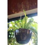 Cabo de A o Nutriplan 3 Ganchos Dourado 75cm 3