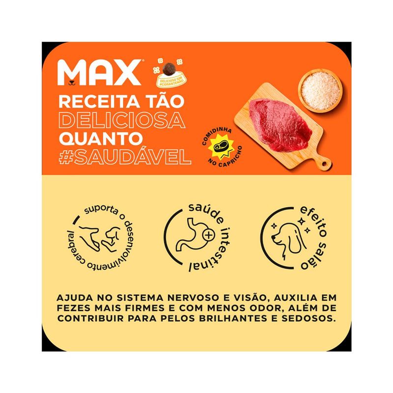 Ra  o Seca Max para C es Filhotes Porte M dio e Grande Carne e Arroz 20kg 1