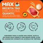 Ra  o Seca Max para C es Adultos Porte Pequeno Carne e Arroz 10 1kg 1