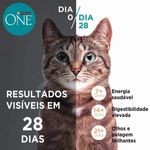 Ra  o Seca One Visible Nutrition para Gatos Filhotes Frango e Carne 500g 4