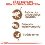 Ra  o Seca Royal Canin Sterilised 12  para Gatos Idosos Castrados 1 5kg 1