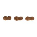 racao-seca-guabi-natural-para-caes-adultos-porte-mini-e-pequeno-salmao-e-cevada-10-1kg-3 jpg