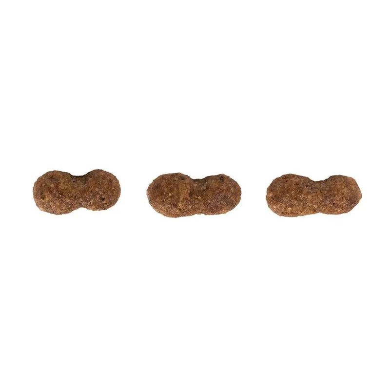 racao-seca-guabi-natural-para-caes-adultos-porte-mini-e-pequeno-salmao-e-cevada-10-1kg-3 jpg