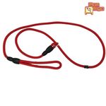 guia-longo-bom-amigo-enforcador-p-para-caes-porte-pequeno-cores-sortidas-3 jpg