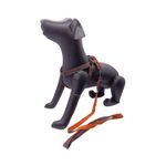 conjunto-guia-e-peitoral-bom-amigo-soft-g-para-caes-porte-grande-cores-sortidas-0 jpg