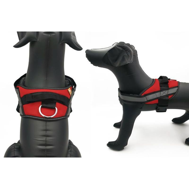 peitoral-bom-amigo-flufy-m-para-caes-porte-medio-cores-sortidas-4 jpg