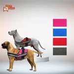 peitoral-bom-amigo-flufy-m-para-caes-porte-medio-cores-sortidas-5 jpg