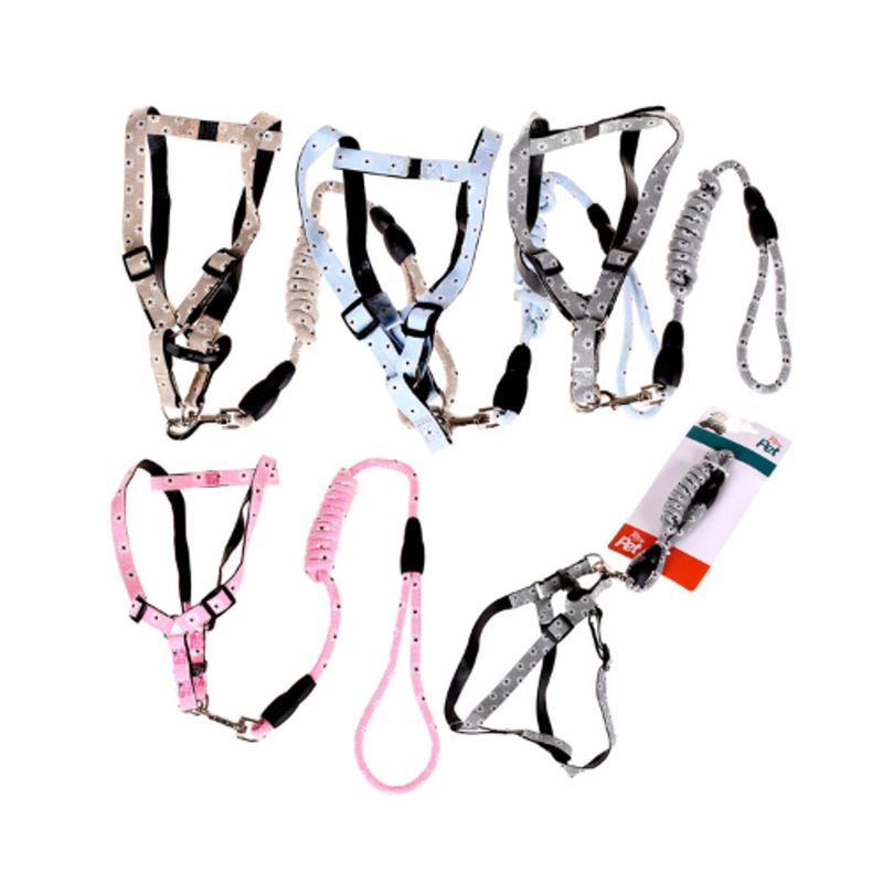 conjunto-guia-e-peitoral-meu-pet-para-caes-porte-pequeno-cores-sortidas-1 jpg