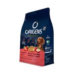 biscoito-origens-para-caes-adultos-porte-mini-e-pequeno-frutas-vermelhas-linhaca-e-cereais-400g-1 jpg