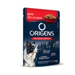racao-umida-origens-para-caes-adultos-carne-com-abobora-85g-1 jpg