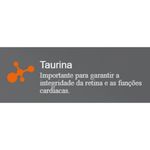 racao-seca-chanin-para-gatos-filhotes-carne-peixe-e-frango-25kg-6 jpg