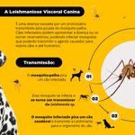 Coleira Scalibor 25g Contra Mosquitos Vetores da Leishmaniose C es Porte Grande 65cm MSD Sa de Animal 2