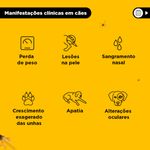 Coleira Scalibor 25g Contra Mosquitos Vetores da Leishmaniose C es Porte Grande 65cm MSD Sa de Animal 4