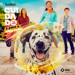 Coleira Scalibor 25g Contra Mosquitos Vetores da Leishmaniose C es Porte Grande 65cm MSD Sa de Animal 7