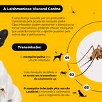 Coleira Scalibor 19g Contra Mosquitos Vetores da Leishmaniose C es Porte M dio 48cm MSD Sa de Animal 2