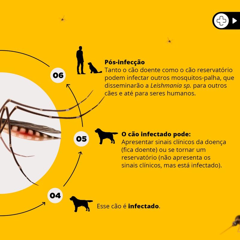Coleira Scalibor 19g Contra Mosquitos Vetores da Leishmaniose C es Porte M dio 48cm MSD Sa de Animal 3