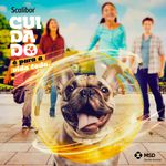 Coleira Scalibor 19g Contra Mosquitos Vetores da Leishmaniose C es Porte M dio 48cm MSD Sa de Animal 7