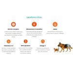 suplemento-nuxcell-move-para-caes-e-gatos-2g-2 jpg
