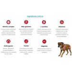 suplemento-nuxcell-pulse-para-caes-e-gatos-2g-2 jpg