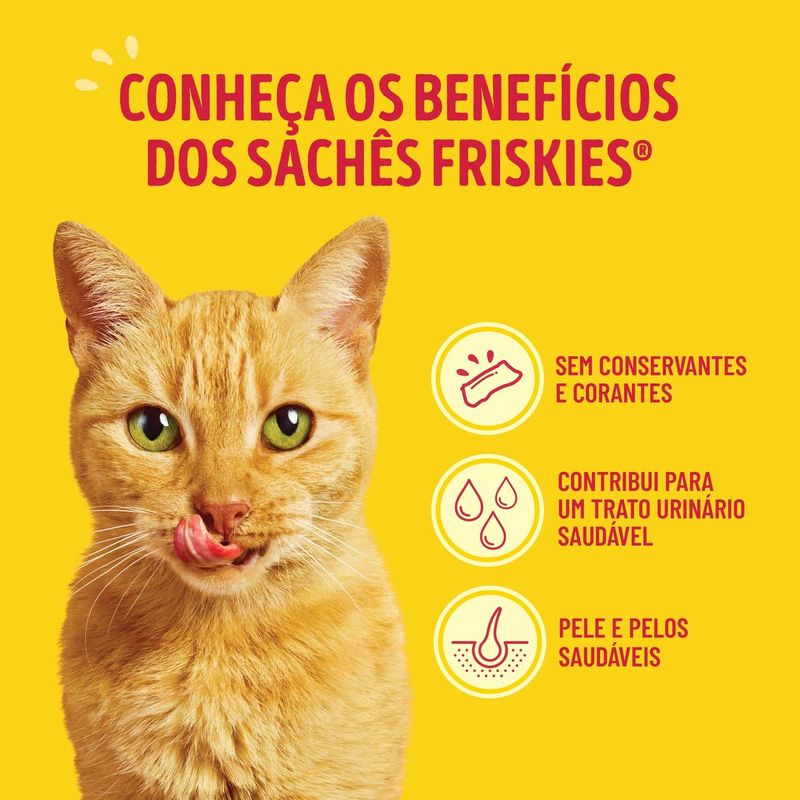 racao-umida-friskies-para-gatos-adultos-mix-de-carne-80g-3 jpg