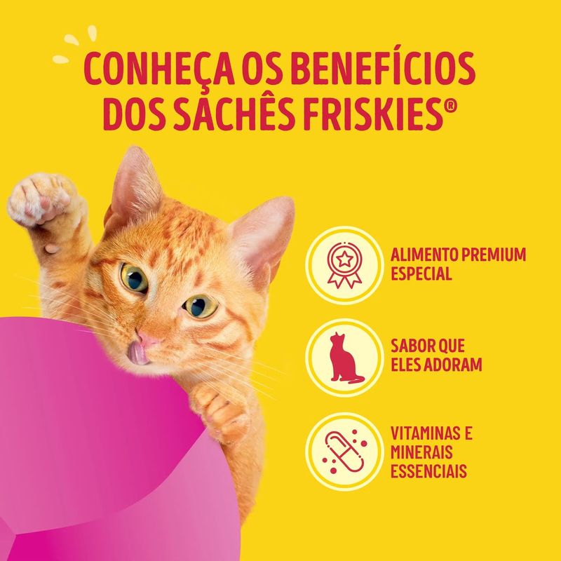 racao-umida-friskies-para-gatos-adultos-mix-de-carne-80g-4 jpg