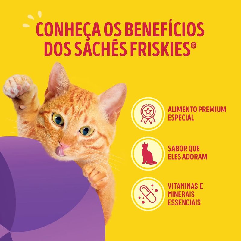 racao-umida-friskies-para-gatos-adultos-megamix-80g-4 jpg