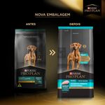 racao-seca-pro-plan-desenvolvimento-excepcional-para-caes-filhotes-porte-grande-12kg-2 jpg