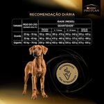 racao-seca-pro-plan-desenvolvimento-excepcional-para-caes-filhotes-porte-grande-12kg-6 jpg