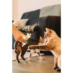 brinquedo-mor-cilindro-com-penas-para-gatos-4 jpg
