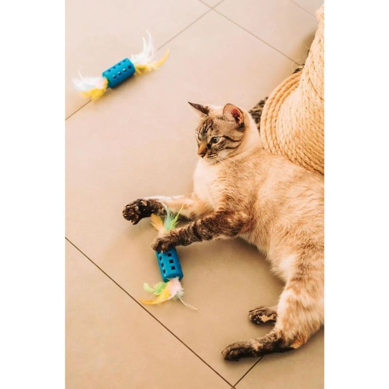 brinquedo-mor-cilindro-com-penas-para-gatos-5 jpg