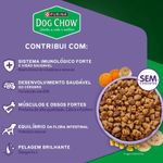 racao-seca-dog-chow-para-caes-filhotes-porte-mini-e-pequeno-carne-frango-e-arroz-900g-3 jpg