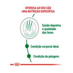 Ra  o Seca Royal Canin Mini Indoor para C es Adultos Porte Pequeno 2 5kg  2