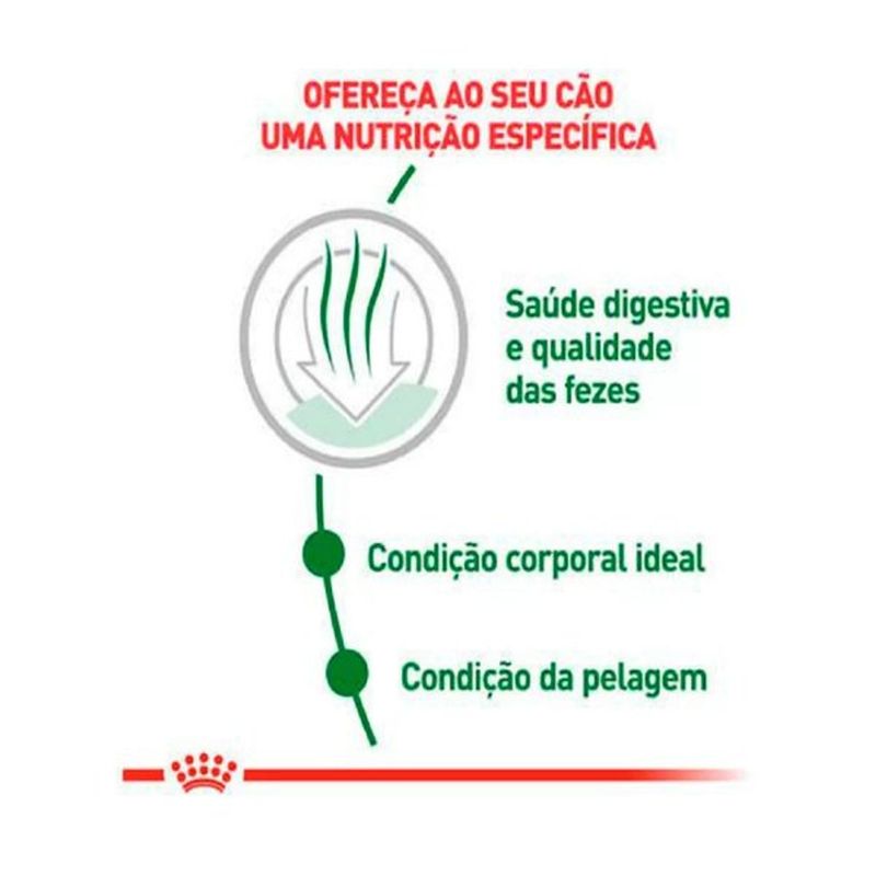 Ra  o Seca Royal Canin Mini Indoor para C es Adultos Porte Pequeno 2 5kg  2