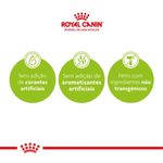 Ra  o Seca Royal Canin Mini Indoor S nior para C es Idosos 8  Porte Pequeno 1kg 3