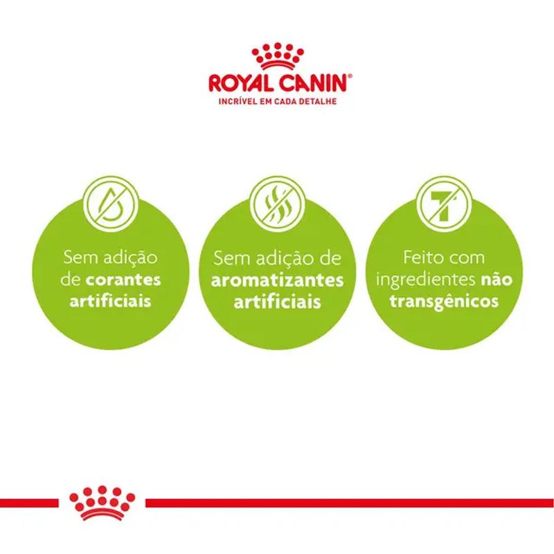 Ra  o Seca Royal Canin Mini Indoor S nior para C es Idosos 8  Porte Pequeno 1kg 3