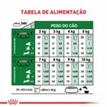 Ra  o Seca Royal Canin Mini Indoor S nior para C es Idosos 8  Porte Pequeno 1kg 4
