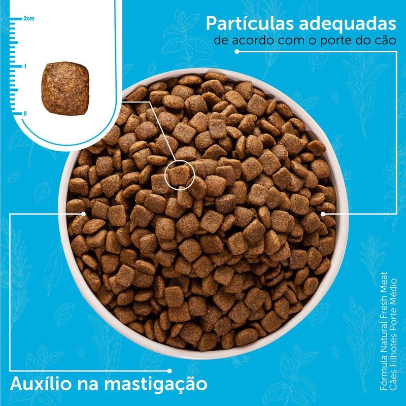 Ra  o Seca F rmula Natural Fresh Meat para C es Filhotes Porte M dio Frango 2 5kg 5