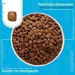 Ra  o Seca F rmula Natural Fresh Meat para C es Filhotes Porte M dio Frango 12kg 5