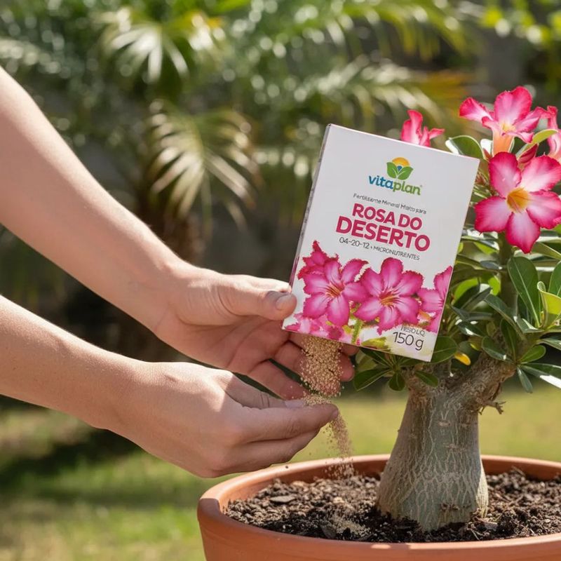 Fertilizante Nutriplan Vitaplan Rosa do Deserto para Plantio e Manuten  o 150g 1
