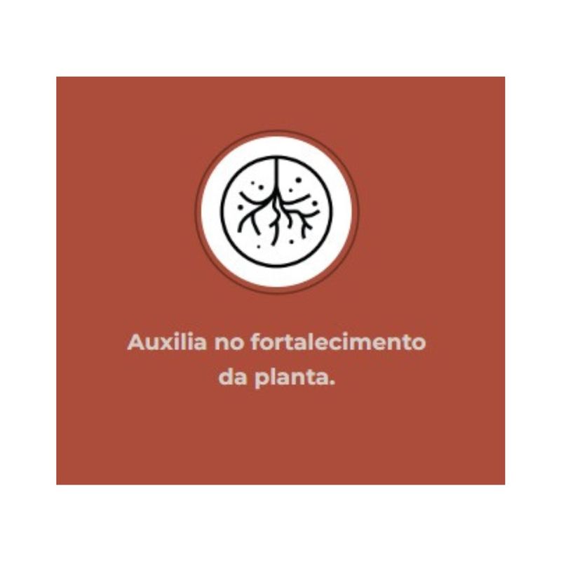 Fertilizante Nutriplan Vitaplan Rosa do Deserto para Plantio e Manuten  o 150g 6