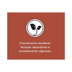 Fertilizante Nutriplan Vitaplan Rosa do Deserto para Plantio e Manuten  o 150g 8